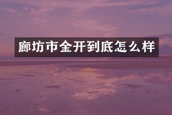 廊坊市金开到底怎么样