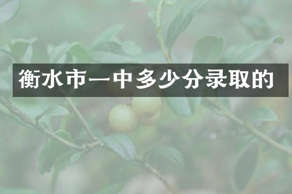 衡水市一中多少分录取的