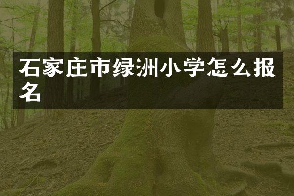 石家庄市绿洲小学怎么报名