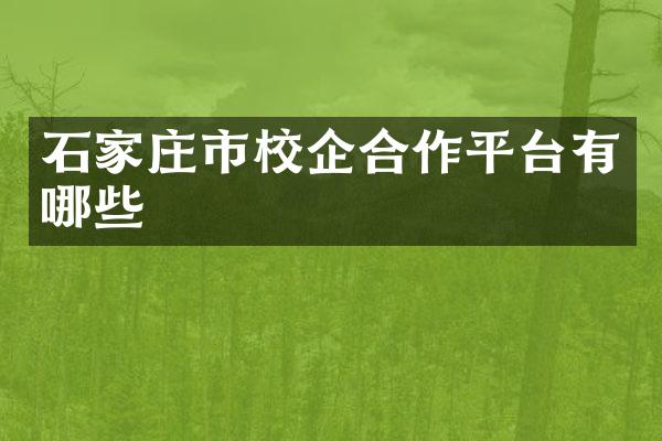 石家庄市校企合作平台有哪些