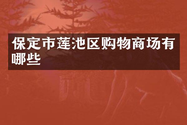 保定市莲池区购物商场有哪些