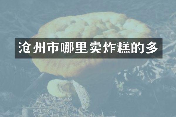 沧州市哪里卖炸糕的多