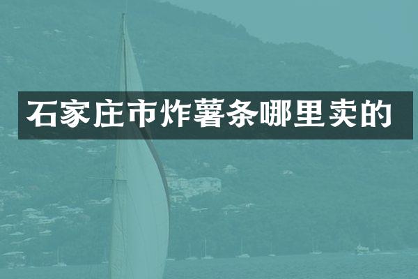 石家庄市炸薯条哪里卖的