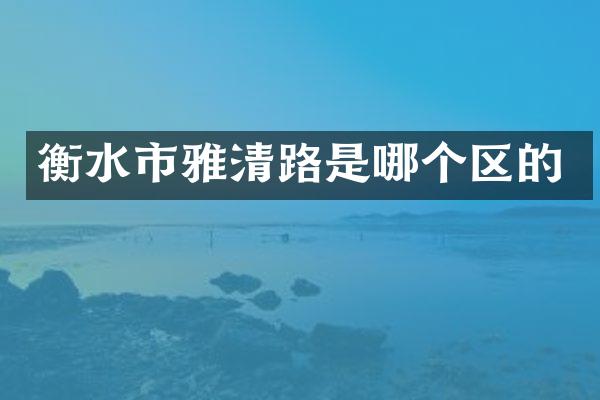 衡水市雅清路是哪个区的