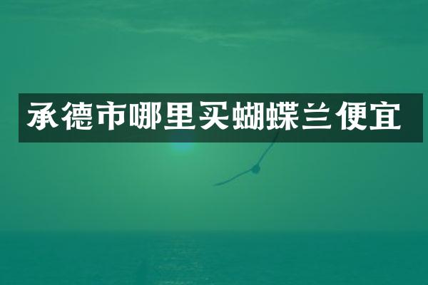 承德市哪里买蝴蝶兰便宜