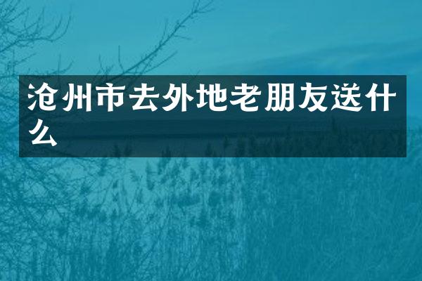 沧州市去外地老朋友送什么