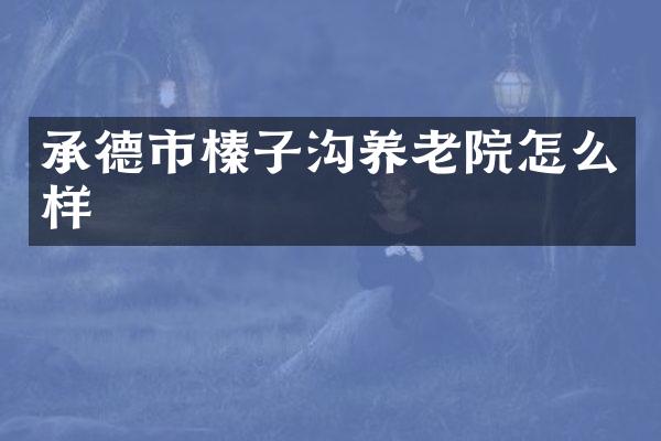 承德市榛子沟养老院怎么样
