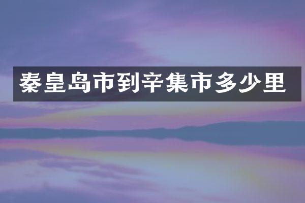 秦皇岛市到辛集市多少里
