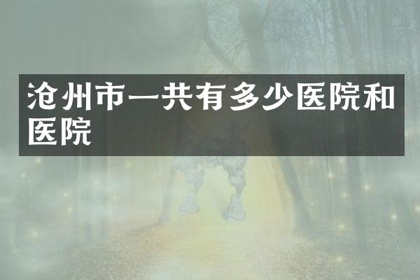 沧州市一共有多少医院和医院