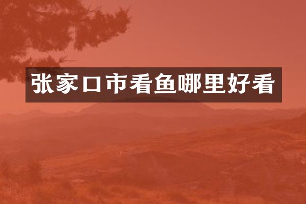 张家口市看鱼哪里好看