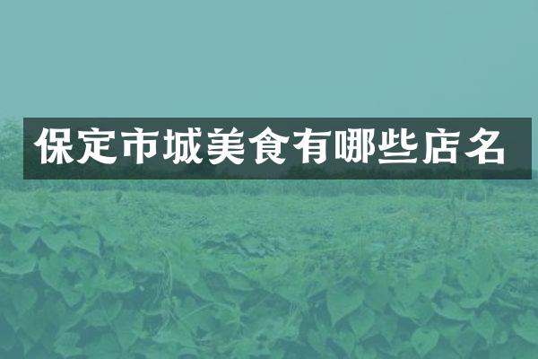 保定市城美食有哪些店名