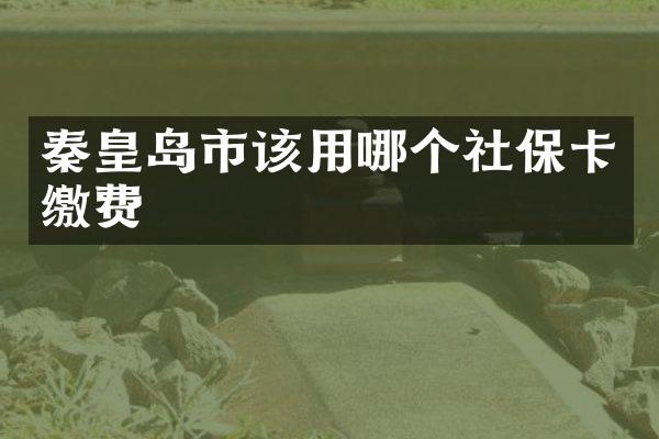 秦皇岛市该用哪个社保卡缴费