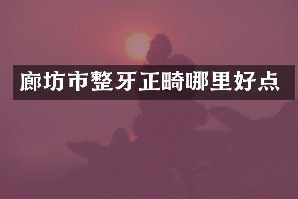 廊坊市整牙正畸哪里好点