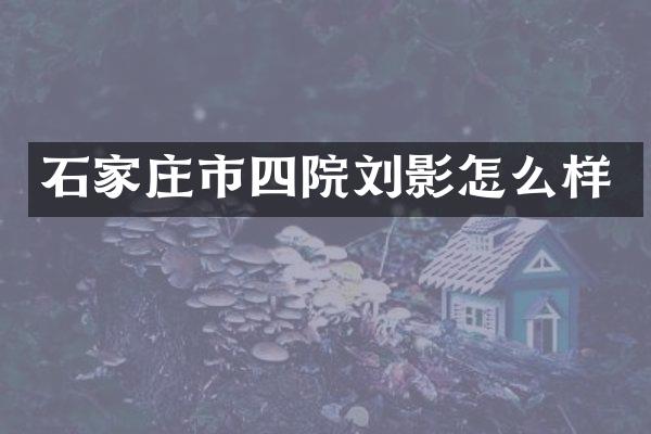 石家庄市四院刘影怎么样