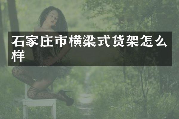 石家庄市横梁式货架怎么样