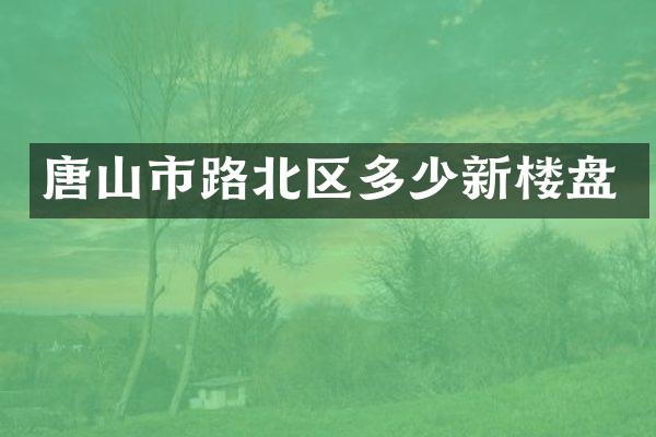 唐山市路北区多少新楼盘