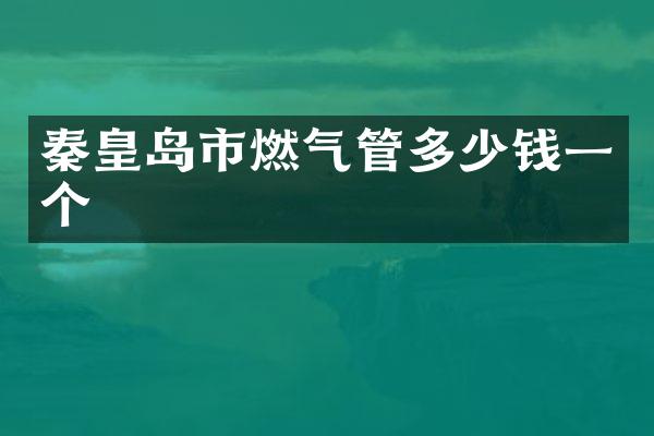 秦皇岛市燃气管多少钱一个