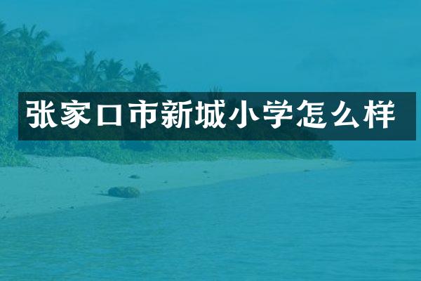 张家口市新城小学怎么样