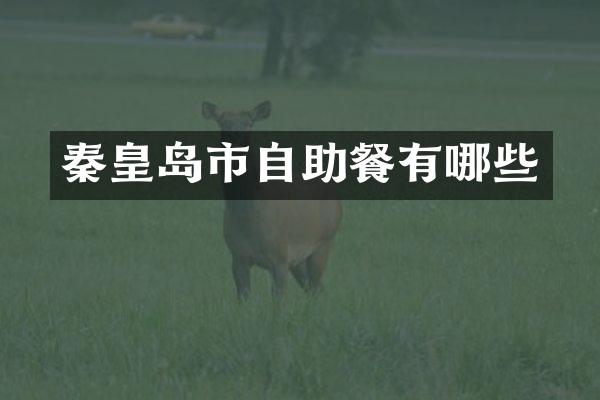 秦皇岛市自助餐有哪些