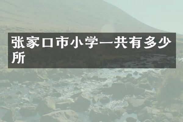 张家口市小学一共有多少所