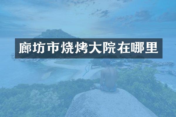廊坊市烧烤大院在哪里