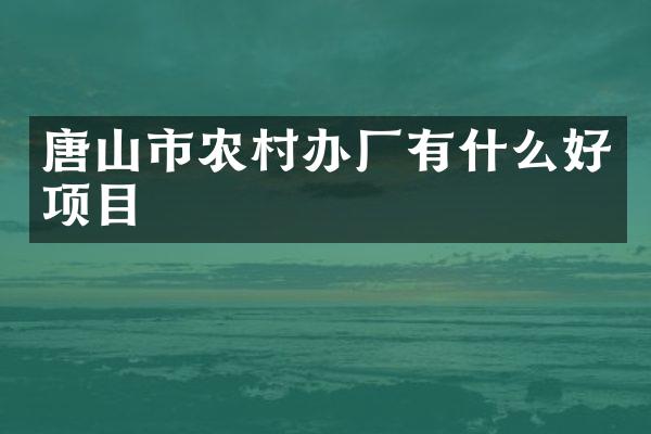 唐山市农村办厂有什么好项目
