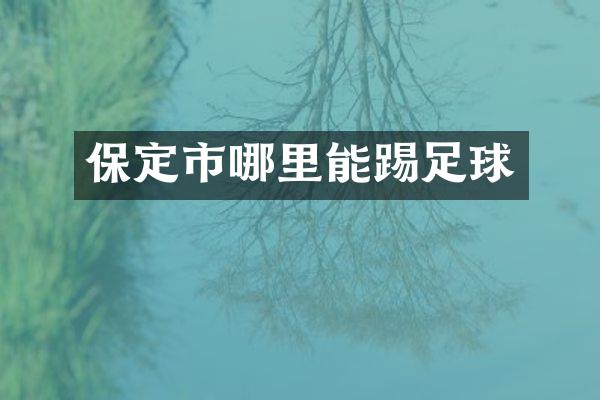 保定市哪里能踢足球