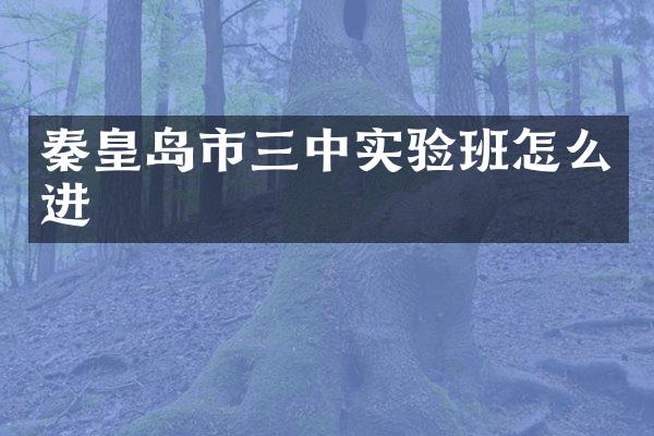 秦皇岛市三中实验班怎么进