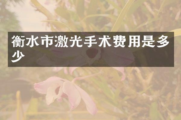 衡水市激光手术费用是多少