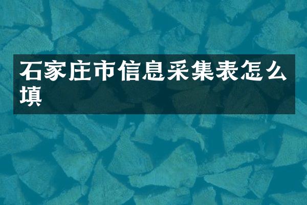 石家庄市信息采集表怎么填