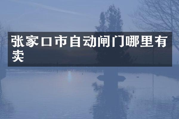 张家口市自动闸门哪里有卖