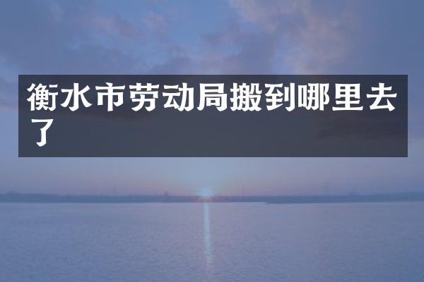 衡水市劳动局搬到哪里去了