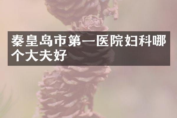 秦皇岛市第一医院妇科哪个大夫好