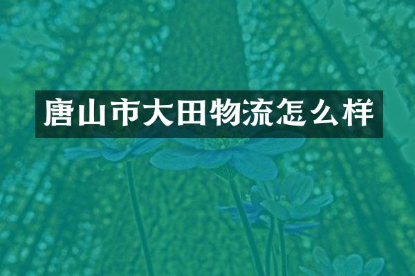 唐山市大田物流怎么样