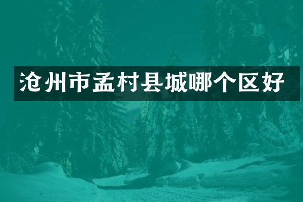 沧州市孟村县城哪个区好