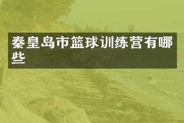 秦皇岛市篮球训练营有哪些