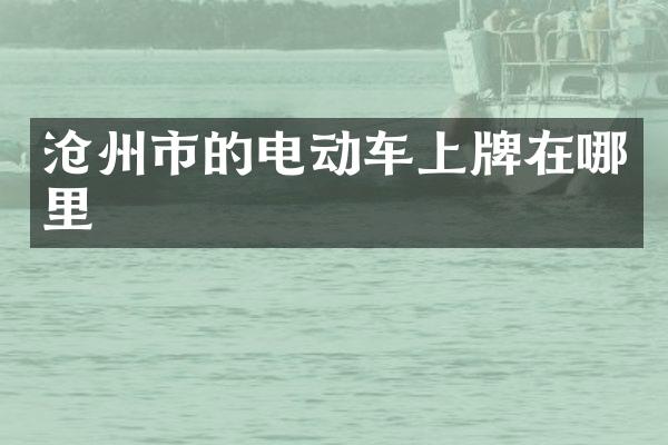 沧州市的电动车上牌在哪里