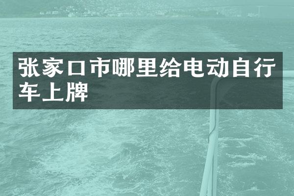 张家口市哪里给电动自行车上牌