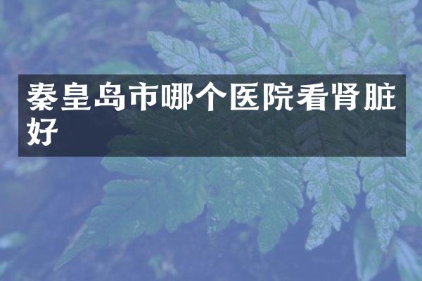 秦皇岛市哪个医院看肾脏好