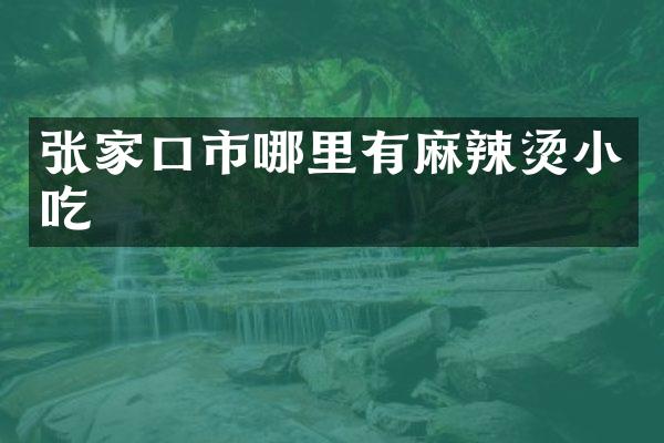张家口市哪里有麻辣烫小吃
