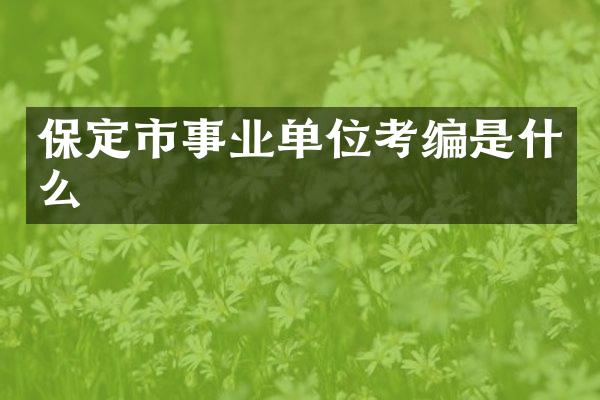 保定市事业单位考编是什么