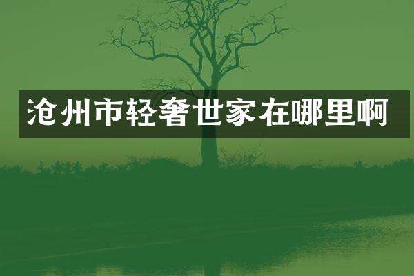 沧州市轻奢世家在哪里啊