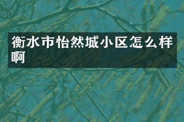 衡水市怡然城小区怎么样啊