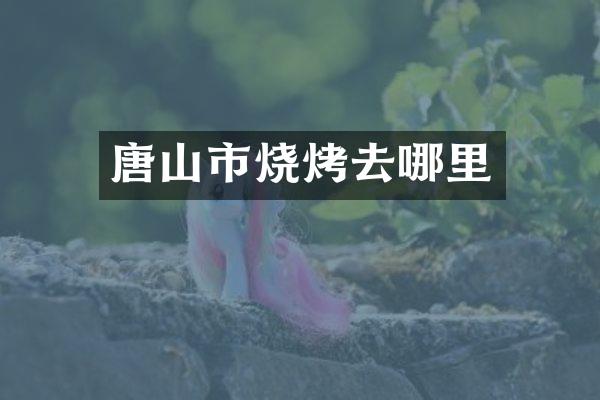 唐山市烧烤去哪里