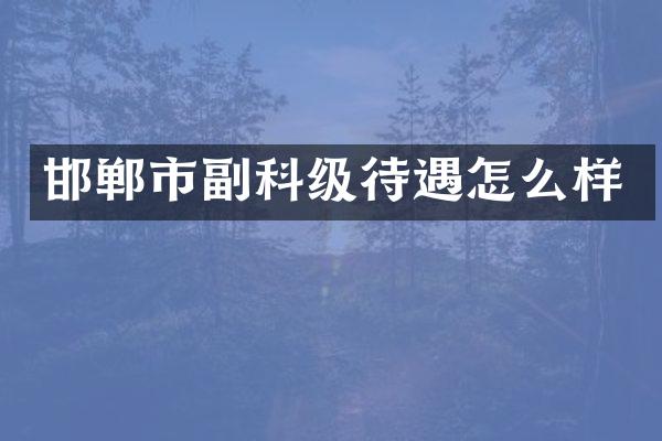 邯郸市副科级待遇怎么样
