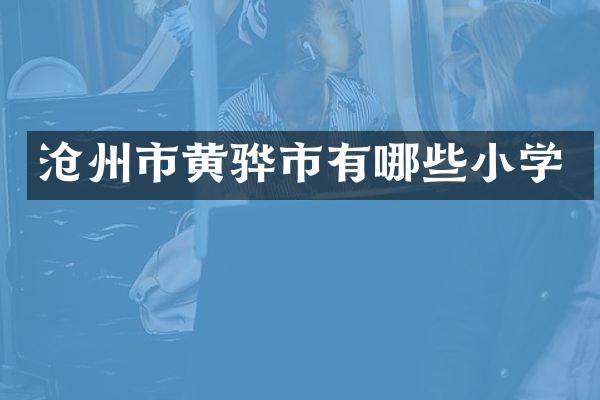 沧州市黄骅市有哪些小学