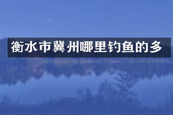 衡水市冀州哪里钓鱼的多