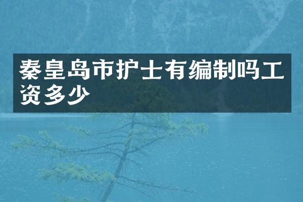 秦皇岛市护士有编制吗工资多少