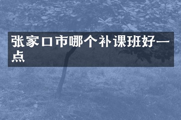 张家口市哪个补课班好一点