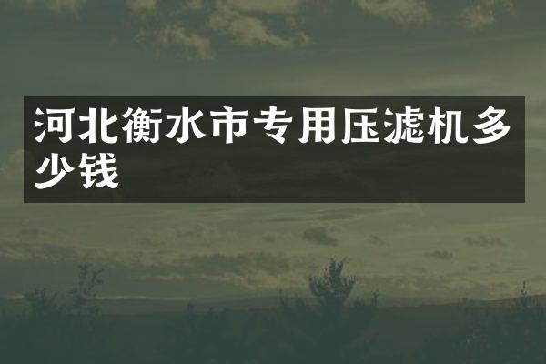 河北衡水市专用压滤机多少钱